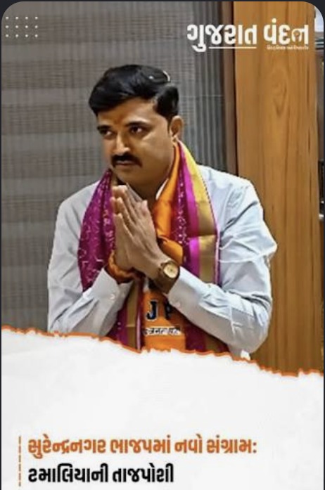 Hardik Tamaliya Gujarati news image